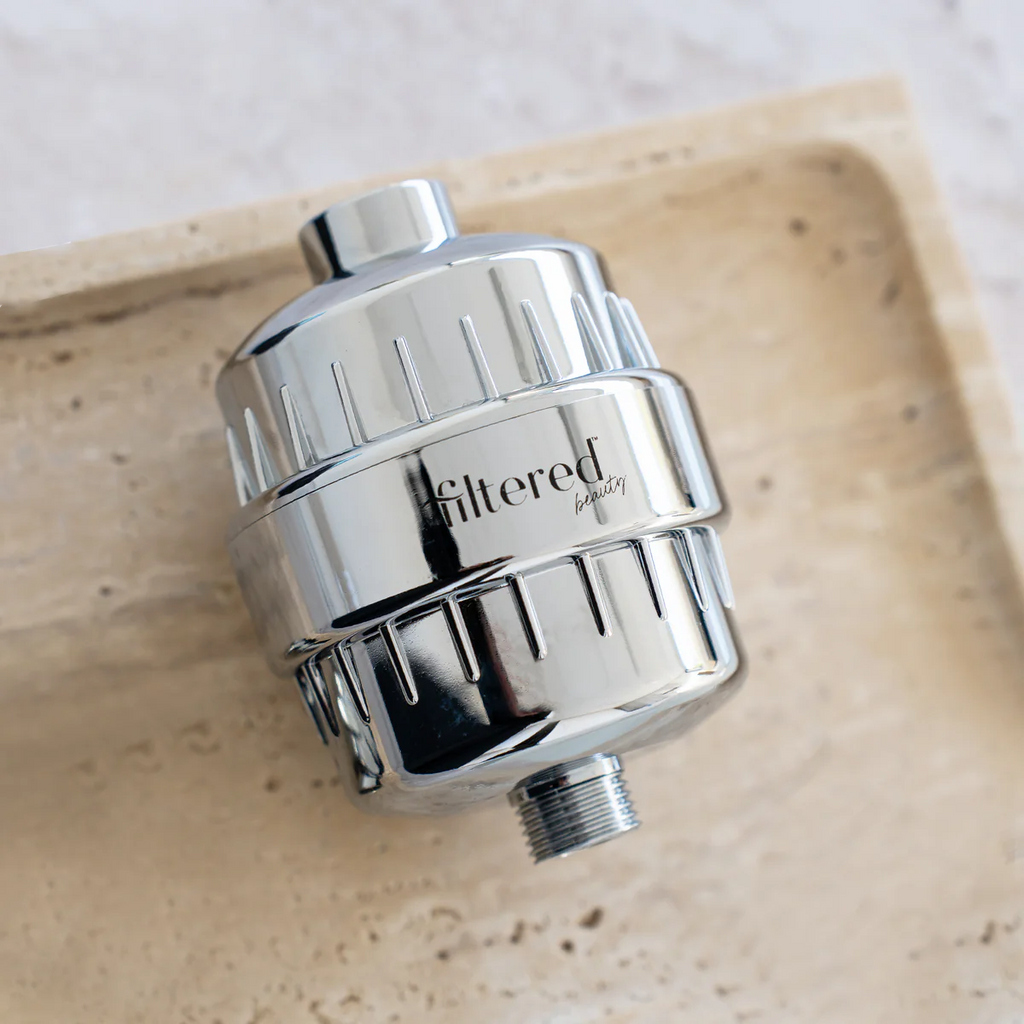 Shower Purifier Silver