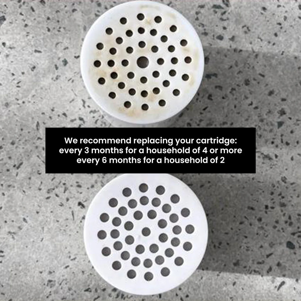 Shower Purifier Silver